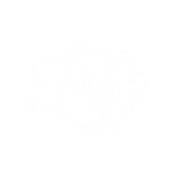 lionecoders.com