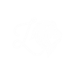 lionecoders.com